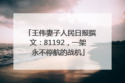 王伟妻子人民日报撰文：81192，一架永不停航的战机