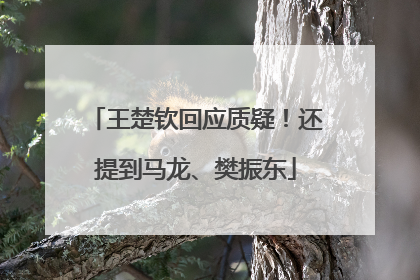 王楚钦回应质疑！还提到马龙、樊振东