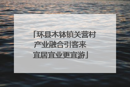 环县木钵镇关营村 产业融合引客来 宜居宜业更宜游