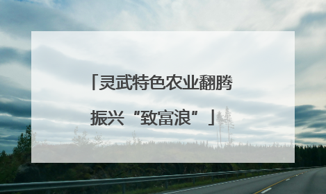 灵武特色农业翻腾振兴“致富浪”