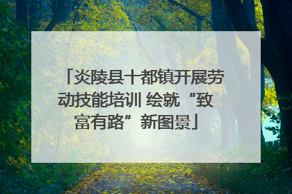 炎陵县十都镇开展劳动技能培训 绘就“致富有路”新图景