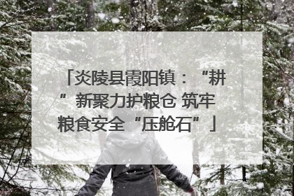 炎陵县霞阳镇：“耕”新聚力护粮仓 筑牢粮食安全“压舱石”