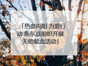 热血向阳 为爱行动 衡东县组织开展无偿献血活动