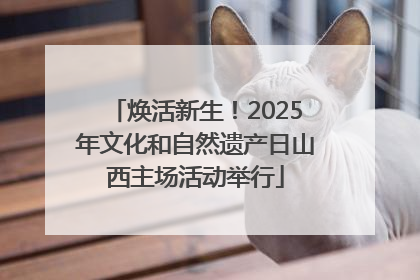 焕活新生！2025年文化和自然遗产日山西主场活动举行