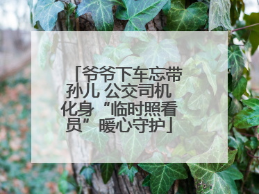 爷爷下车忘带孙儿 公交司机化身“临时照看员”暖心守护