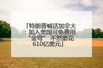 特朗普喊话加拿大：加入美国可免费用“金穹” 不然要花610亿美元