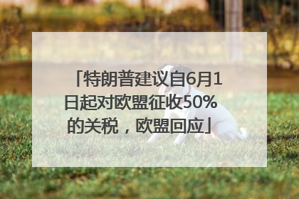 特朗普建议自6月1日起对欧盟征收50%的关税，欧盟回应