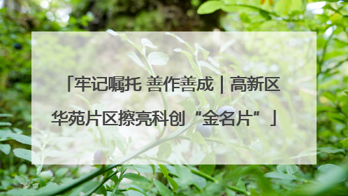 牢记嘱托 善作善成｜高新区华苑片区擦亮科创“金名片”