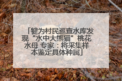 犍为村民巡查水库发现“水中大熊猫”桃花水母 专家：将采集样本鉴定具体种属