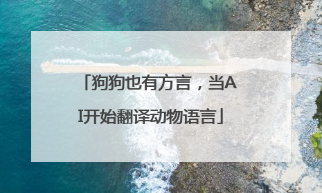 狗狗也有方言，当AI开始翻译动物语言