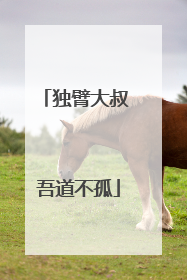 独臂大叔 吾道不孤