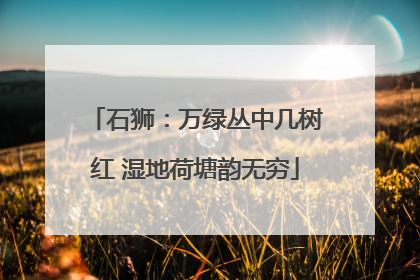 石狮：万绿丛中几树红 湿地荷塘韵无穷