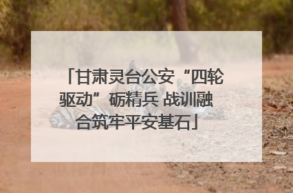 甘肃灵台公安“四轮驱动”砺精兵 战训融合筑牢平安基石