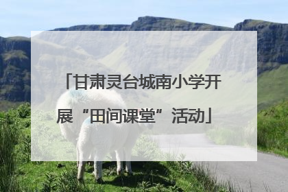 甘肃灵台城南小学开展“田间课堂”活动