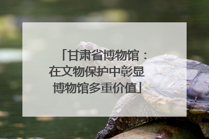 甘肃省博物馆：在文物保护中彰显博物馆多重价值