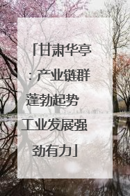 甘肃华亭：产业链群蓬勃起势 工业发展强劲有力