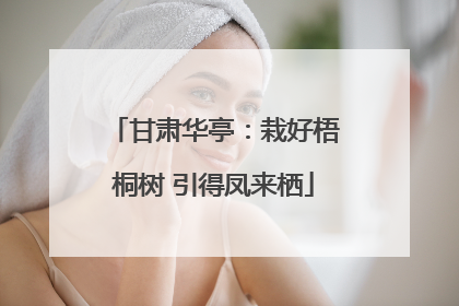 甘肃华亭：栽好梧桐树 引得凤来栖