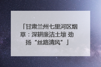 甘肃兰州七里河区烟草：深耕廉洁土壤 劲扬“丝路清风”