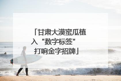 甘肃大漠蜜瓜植入“数字标签” 打响金字招牌