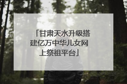 甘肃天水升级搭建亿万中华儿女网上祭祖平台