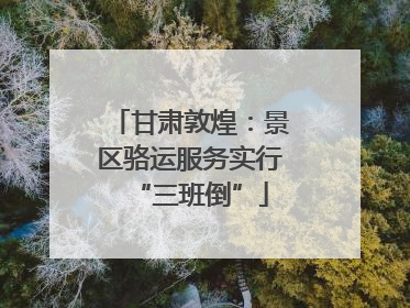 甘肃敦煌：景区骆运服务实行“三班倒”