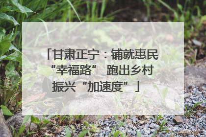 甘肃正宁：铺就惠民“幸福路” 跑出乡村振兴“加速度”