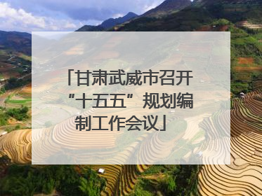 甘肃武威市召开“十五五”规划编制工作会议