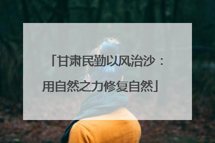 甘肃民勤以风治沙：用自然之力修复自然