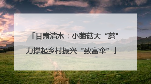 甘肃清水：小菌菇大“蘑”力撑起乡村振兴“致富伞”