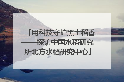 用科技守护黑土稻香——探访中国水稻研究所北方水稻研究中心