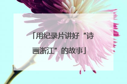 用纪录片讲好“诗画浙江”的故事