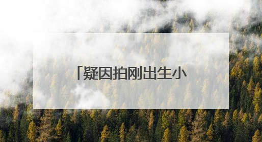 疑因拍刚出生小鹿，女子在市区内遭梅花鹿攻击！