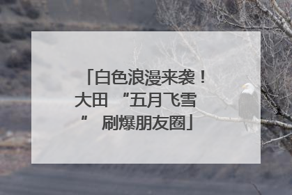 白色浪漫来袭！大田 “五月飞雪” 刷爆朋友圈