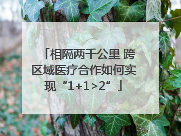 相隔两千公里 跨区域医疗合作如何实现“1+1>2”