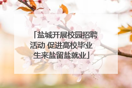 盐城开展校园招聘活动 促进高校毕业生来盐留盐就业