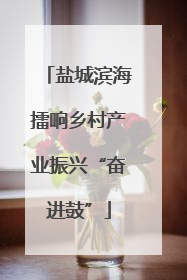 盐城滨海擂响乡村产业振兴“奋进鼓”