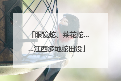眼镜蛇、菜花蛇……江西多地蛇出没