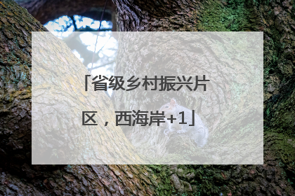 省级乡村振兴片区，西海岸+1