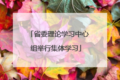 省委理论学习中心组举行集体学习