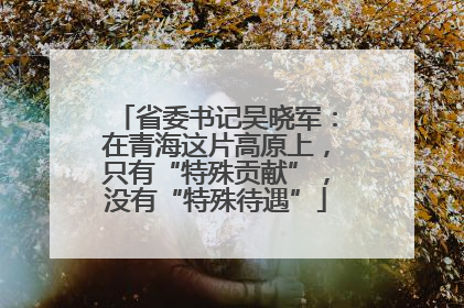 省委书记吴晓军：在青海这片高原上，只有“特殊贡献”，没有“特殊待遇”