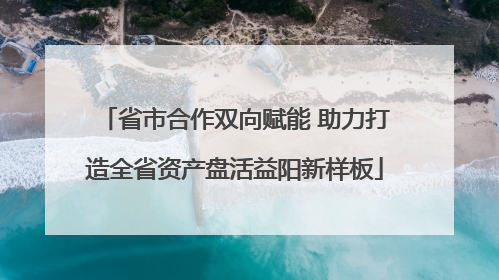 省市合作双向赋能 助力打造全省资产盘活益阳新样板