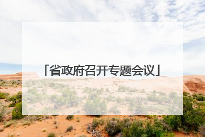 省政府召开专题会议