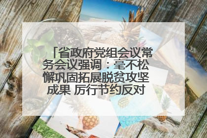 省政府党组会议常务会议强调：毫不松懈巩固拓展脱贫攻坚成果 厉行节约反对浪费弘扬优良作风
