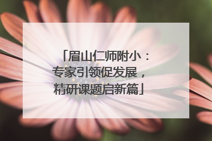 眉山仁师附小：专家引领促发展，精研课题启新篇
