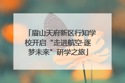 眉山天府新区行知学校开启“走进航空·逐梦未来”研学之旅