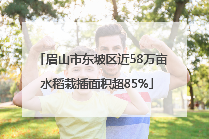 眉山市东坡区近58万亩水稻栽插面积超85%