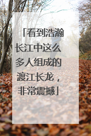 看到浩瀚长江中这么多人组成的渡江长龙，非常震撼