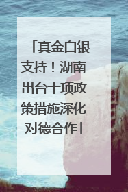 真金白银支持！湖南出台十项政策措施深化对德合作