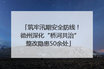 筑牢汛期安全防线！德州深化“桥河共治”整改隐患50余处