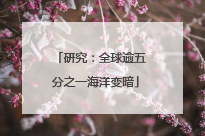 研究：全球逾五分之一海洋变暗